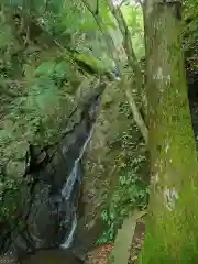 大山阿夫利神社本社(神奈川県)