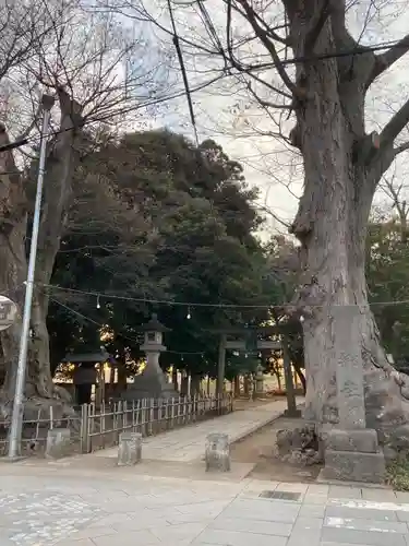 雀神社の鳥居