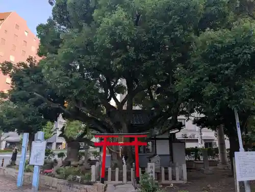 楠永神社(大阪府)
