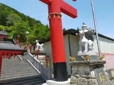 箱根天聖稲荷大権現神社の狛犬