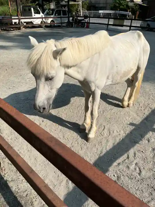 丹生川上神社(下社)(奈良県)