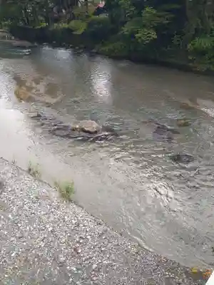 廣徳寺(東京都)