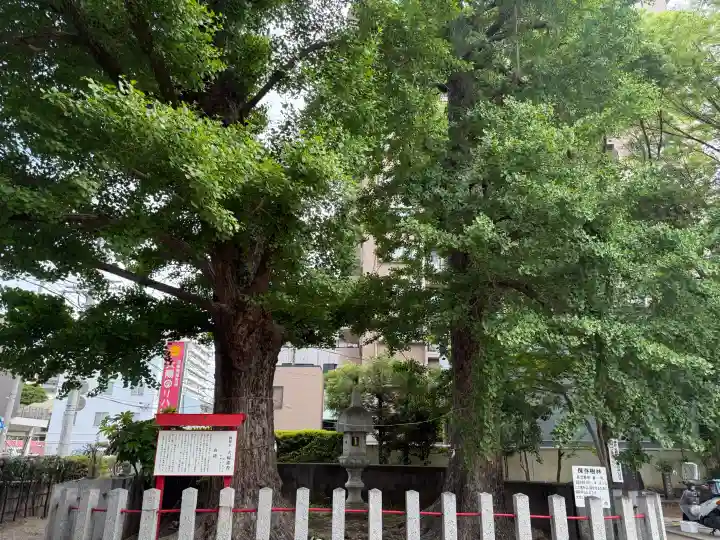久留米宗社 日吉神社の{uncategorized: "未分類", other: "その他", undefined: "問題あり", building: "その他建物", grave: "お墓", sacred_gate: "鳥居", guardian: "狛犬", statue: "像", buddha: "仏像", history: "歴史", nature: "自然", garden: "庭園", animal: "動物", pagoda: "塔", temizu: "手水舎", mountain_gate: "山門・神門", sanctuary: "本殿・本堂", subordinate: "末社・摂社", art: "芸術", scenery: "景色", jizo: "地蔵", ema: "絵馬", goshuin: "御朱印", omikuji: "おみくじ", items: "授与品その他", amulet: "お守り", goshuincho: "御朱印帳", eats: "食事", festival: "お祭り", votive_dance: "神楽", shichigosan: "七五三参", wedding: "結婚式", experience: "体験その他", initially: "初詣", around: "周辺", anti_infection: "感染症対策"}