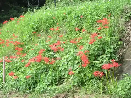 浄発願寺(神奈川県)