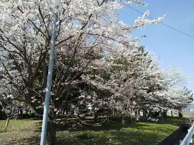 江守神社の自然