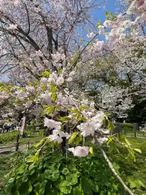 靖國神社(東京都)