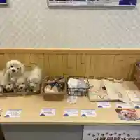メノコト神社(京都府)