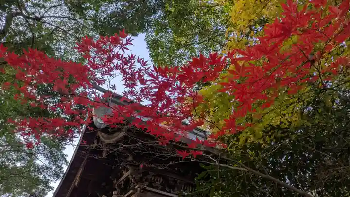 彌伽宜神社(京都府)