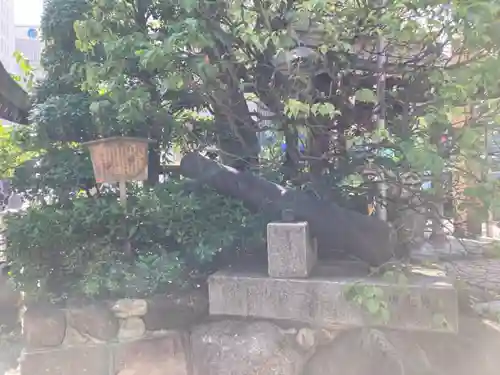 三宮神社(兵庫県)