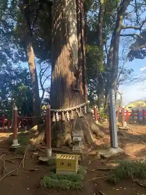 麻賀多神社奥宮(千葉県)