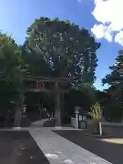 高麗神社の建物その他