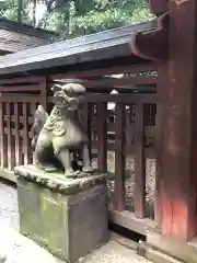 大國魂神社の狛犬