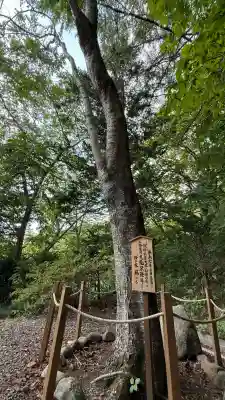 高宮神社(北海道)