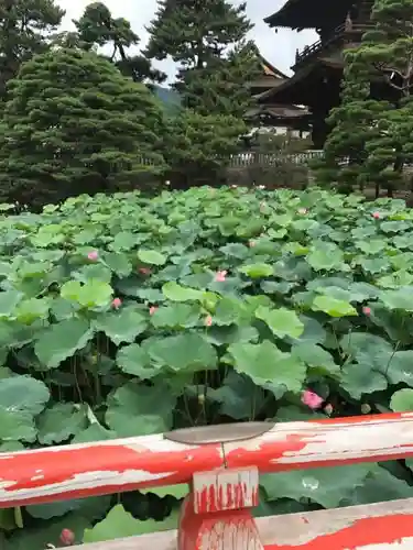 善光寺大勧進の庭園