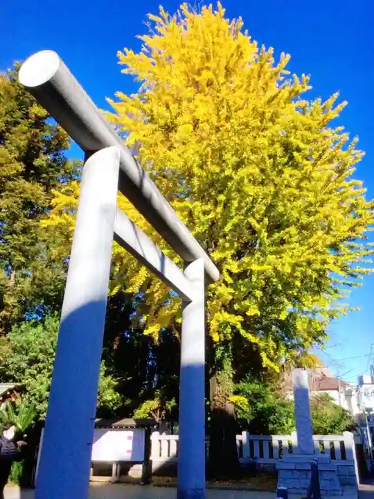 阿佐ヶ谷神明宮(東京都)