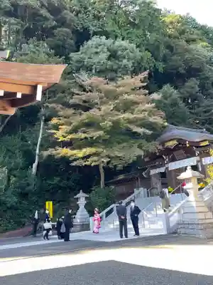 高麗神社(埼玉県)