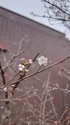 相馬神社(北海道)