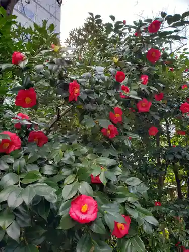 芝大神宮の自然