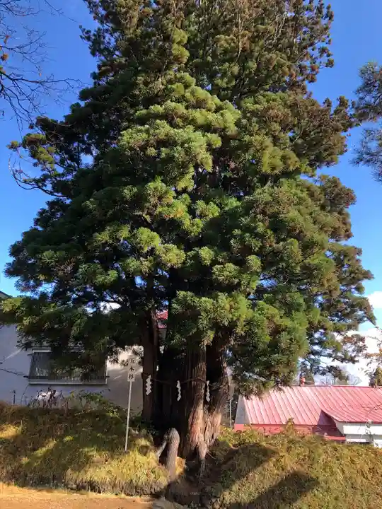 奥富士出雲神社(青森県)