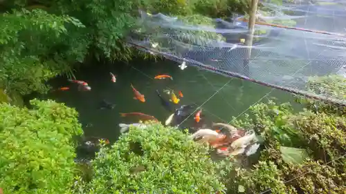 櫻山八幡宮(岐阜県)