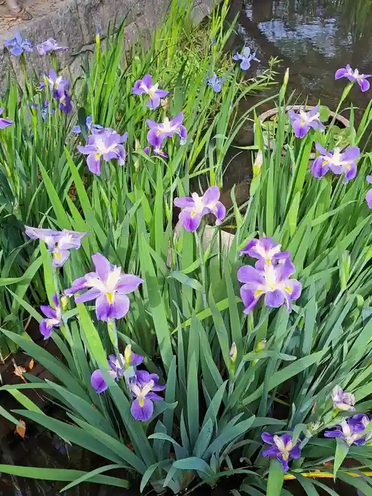 津島神社(愛知県)