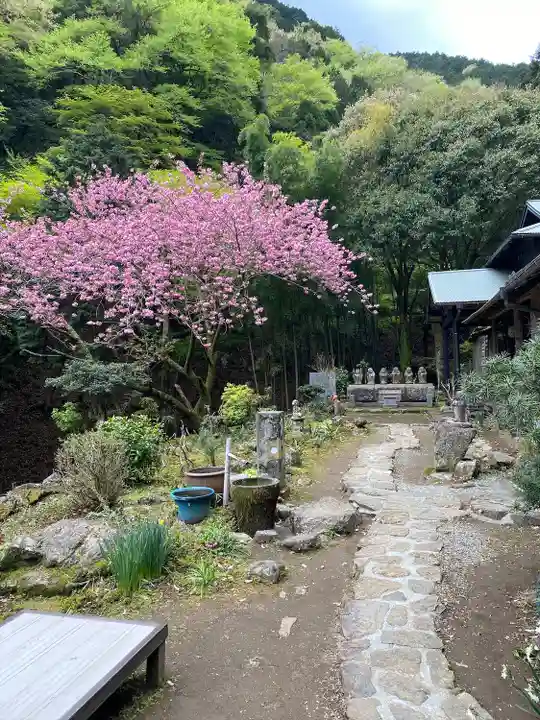 茶湯寺(神奈川県)