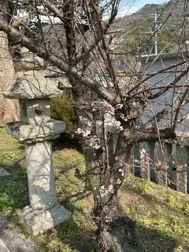 国津姫神社(山口県)