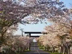 岩内神社の鳥居