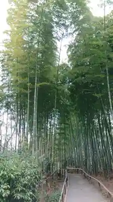 高台寺（高台寿聖禅寺・高臺寺）(京都府)