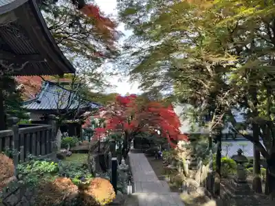 最乗寺（道了尊）(神奈川県)