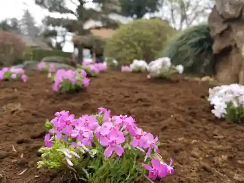 伏木香取神社の庭園