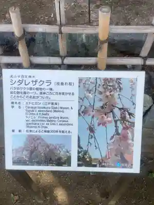 清瀧院(千葉県)