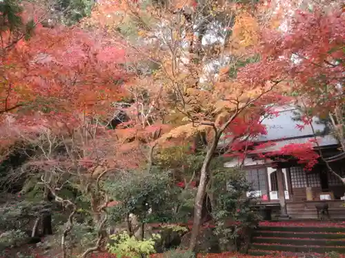 覚園寺の景色