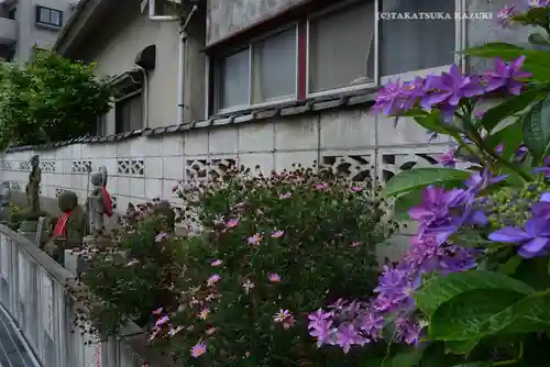成田山横浜別院延命院(神奈川県)