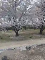貴船神社の自然