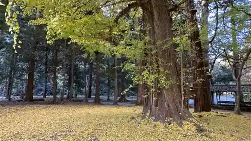 柳津虚空蔵尊 寳性院(宮城県)