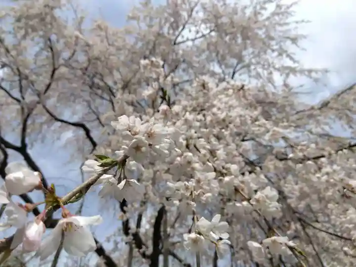 足羽神社(福井県)