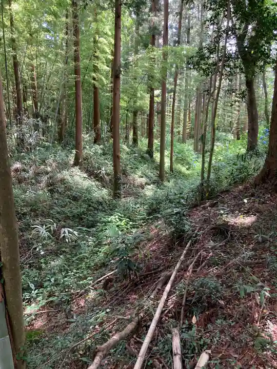 磯部稲村神社(茨城県)