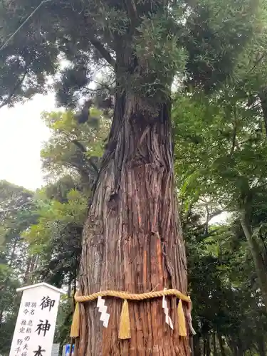 息栖神社(茨城県)