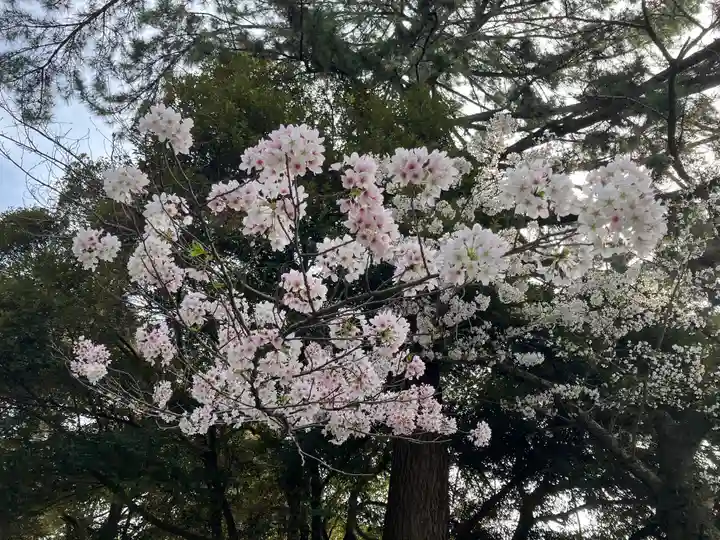 興福寺(奈良県)