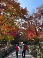 興聖寺(興聖寶林禅寺)(京都府)