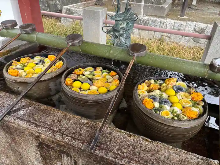津島神社(愛知県)