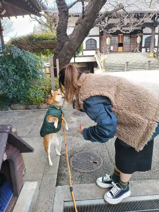 感通寺(東京都)