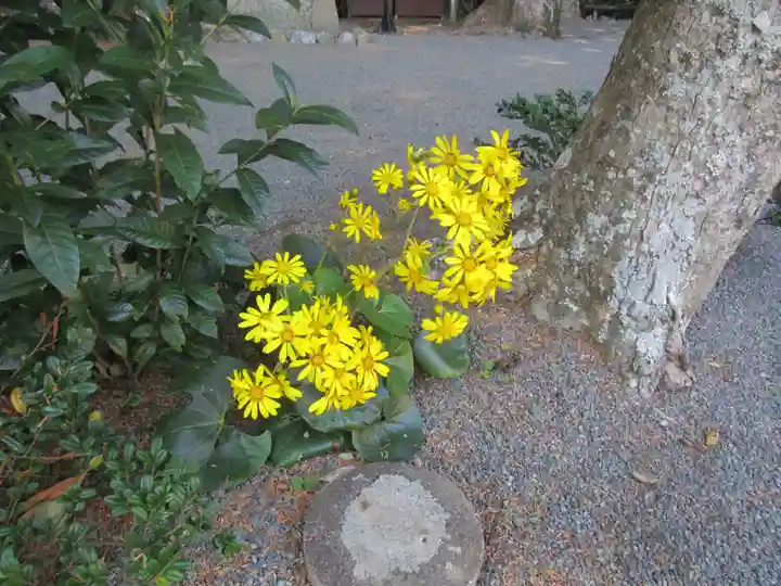 宗像大社中津宮(福岡県)