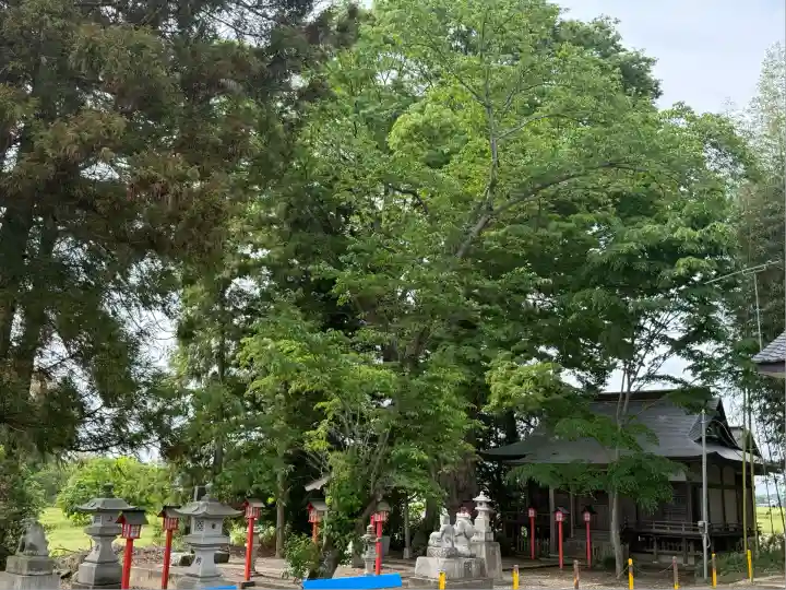 八幡宮(栃木県)