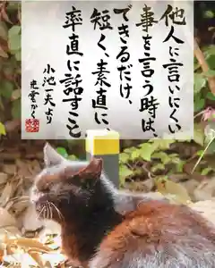 専念寺(大阪府)(2022年06月02日(木) 19時32分25秒投稿)