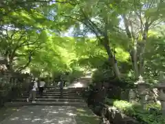 勝尾寺の景色