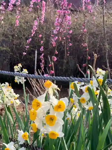 本土寺(千葉県)