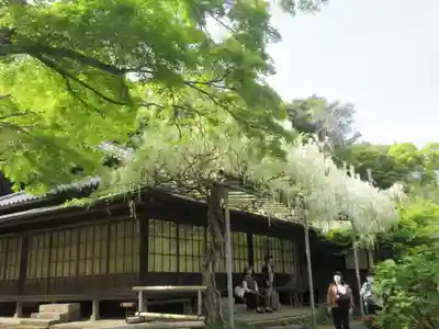 英勝寺のその他建物