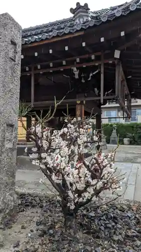 瀧尾神社の自然